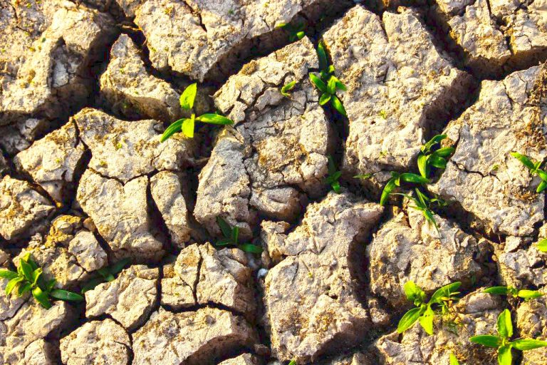 حفظ امیدمثبت‌اندیشی، شکرگزاری، شادی، شوخ‌طبعی در افزایش تاب‌آوری