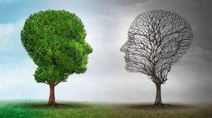 نقش طبیعت در ارتقای سلامت روان و مهارت‌های مقابله‌ا