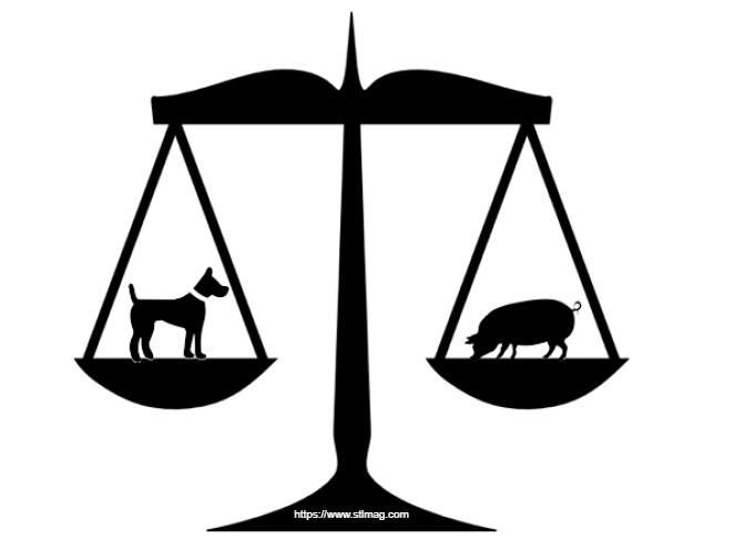 ویکتوریا شروف در حال ارائه نسخه جدید کتاب قانون حیوانات کانادا