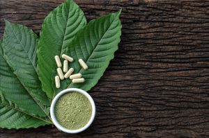 حقیقت تاریک کراتوم و Kratom-۷ OH | از گیاه دارویی تا اعتیاد افیونی پنهان