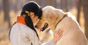 سگ‌ها، میکروبیوم و رفتار اجتماعی نوجوانان