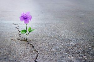 روز روانشناس ورامین؛ تأکید بر سلامت روان و نقش حیاتی متخصصان
