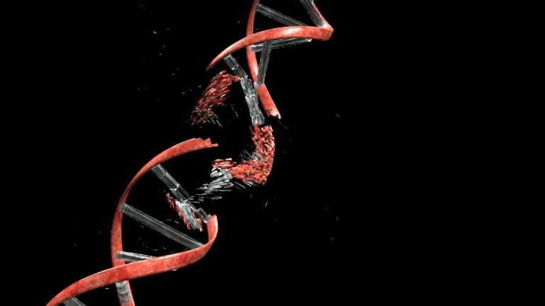 بررسی روند آسیب و ترمیم DNA در نورون‌ها در طول تکامل مغز