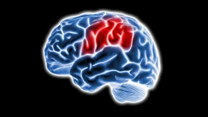 چرا آلزایمر ابتدا به مرکز اصلی حافظه در مغز حمله می‌کند؟