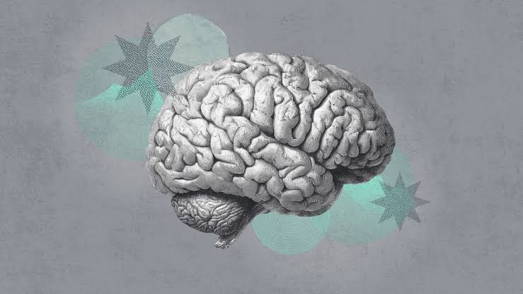 بررسی توانمندی حافظه در سوپریجرها و سلامت مغز در سالمندی