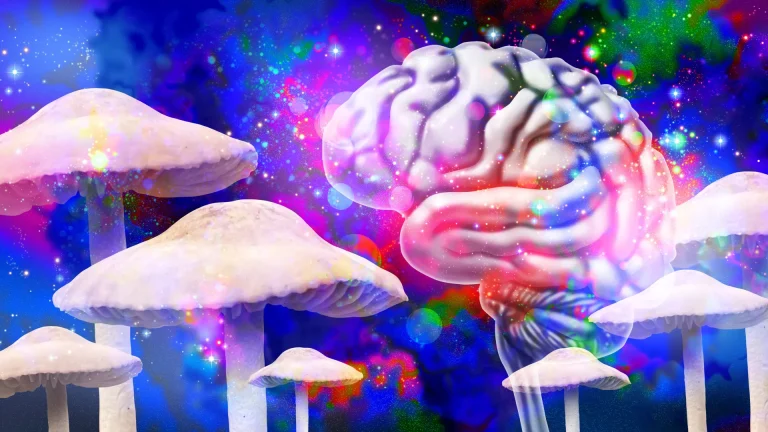 بررسی روند بازسازی و تغییر ساختار مغز با سیلوسایبین