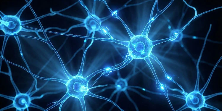 بررسی تاثیر تنفس کند و عمیق بر مدار عصبی مغز و کاهش اضطراب